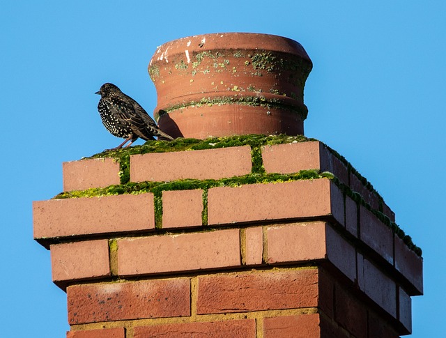 What Full-Service Chimney Solutions Are Available in Ireland